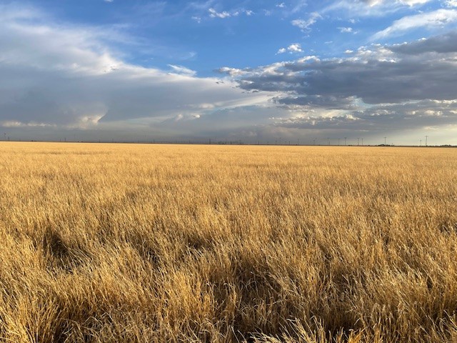 Stratford, 0 , 0 ,0,Single Family Home,Residential Properties,0,1533