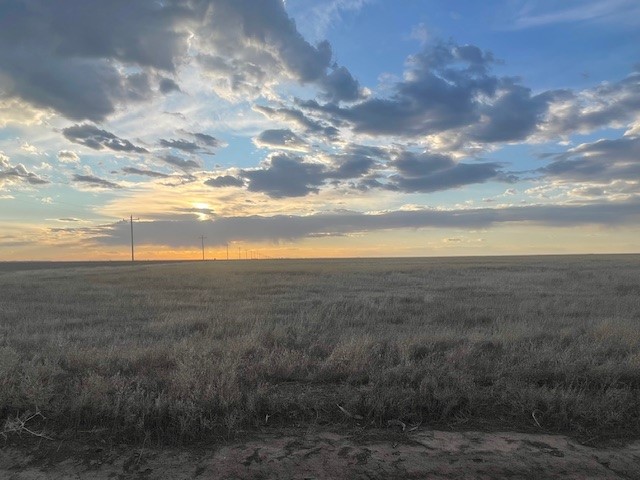 Stratford, 0 , 0 ,0,Single Family Home,Residential Properties,0,1533