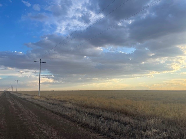 Stratford, 0 , 0 ,0,Single Family Home,Residential Properties,0,1533