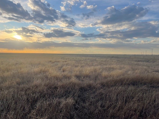 Stratford, 0 , 0 ,0,Single Family Home,Residential Properties,0,1533