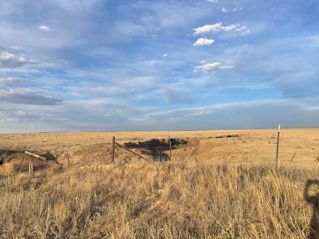 Stratford, 0 , 0 ,0,Single Family Home,Residential Properties,0,1533