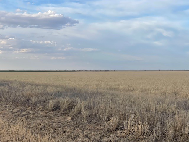 Stratford, 0 , 0 ,0,Single Family Home,Residential Properties,0,1533