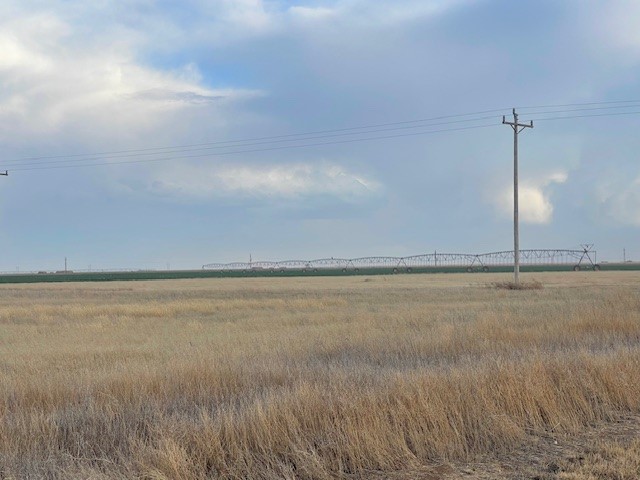 Stratford, 0 , 0 ,0,Single Family Home,Residential Properties,0,1533