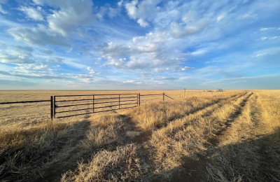 Stratford, 0 , 0 ,0,Single Family Home,Residential Properties,0,1533