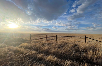 Stratford, 0 , 0 ,0,Single Family Home,Residential Properties,0,1533