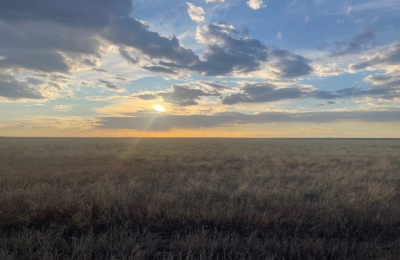 Stratford, 0 , 0 ,0,Single Family Home,Residential Properties,0,1533