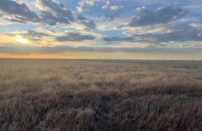 Stratford, 0 , 0 ,0,Single Family Home,Residential Properties,0,1533