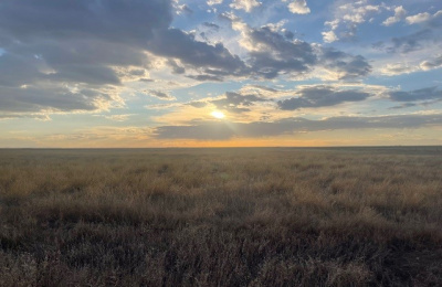 Stratford, 0 , 0 ,0,Single Family Home,Residential Properties,0,1533