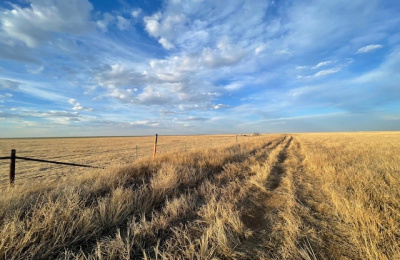 Stratford, 0 , 0 ,0,Single Family Home,Residential Properties,0,1533