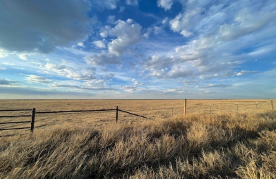 Stratford, 0 , 0 ,0,Single Family Home,Residential Properties,0,1533