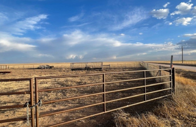 Stratford, 0 , 0 ,0,Single Family Home,Residential Properties,0,1533