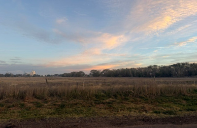 County Road M, Hartley, 0 , 0 ,0,Undeveloped Property,Rental Properties,County Road M,0,1538 County Road M, Hartley, 0 , 0 ,0,Undeveloped Property,Rental Properties,County Road M,0,1538