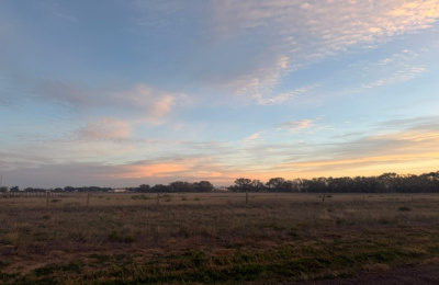 County Road M, Hartley, 0 , 0 ,0,Undeveloped Property,Rental Properties,County Road M,0,1538 County Road M, Hartley, 0 , 0 ,0,Undeveloped Property,Rental Properties,County Road M,0,1538