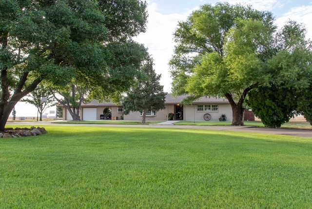 11180 & 11200 FM 807, Hartley, 4 Bedrooms Bedrooms, 0 ,3 BathroomsBathrooms,Single Family Home,Residential Properties,FM 807,0,1554 11180 & 11200 FM 807, Hartley, 4 Bedrooms Bedrooms, 0 ,3 BathroomsBathrooms,Single Family Home,Residential Properties,FM 807,0,1554