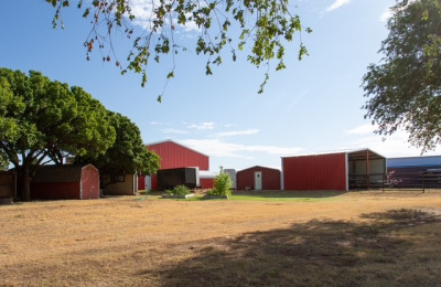 11180 & 11200 FM 807, Hartley, 4 Bedrooms Bedrooms, 0 ,3 BathroomsBathrooms,Single Family Home,Residential Properties,FM 807,0,1554 11180 & 11200 FM 807, Hartley, 4 Bedrooms Bedrooms, 0 ,3 BathroomsBathrooms,Single Family Home,Residential Properties,FM 807,0,1554