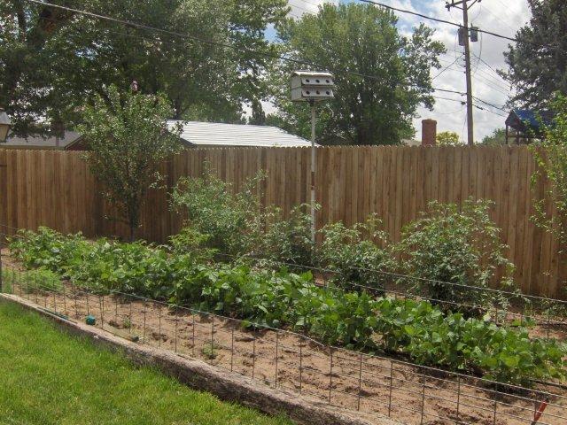 Garden area