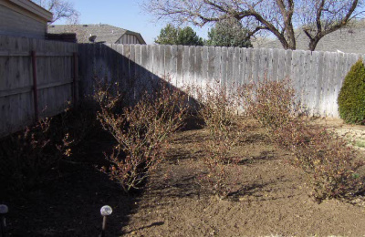 1810 Tejas Trl,Dalhart,Hartley,Texas,United States 79022,4 Bedrooms Bedrooms,2 BathroomsBathrooms,Single Family Home,Tejas Trl,1058